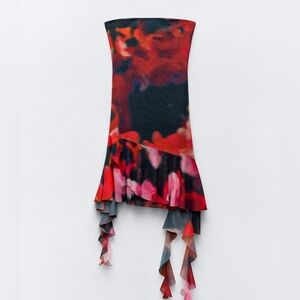 Zara Printed Tulle Dress